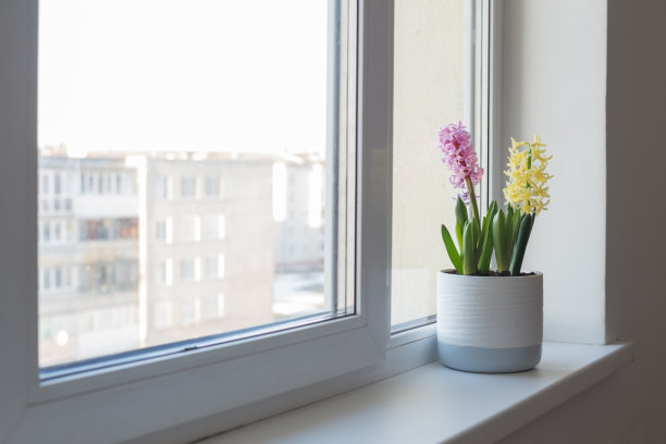 室内白色窗台上的盆栽图片下载