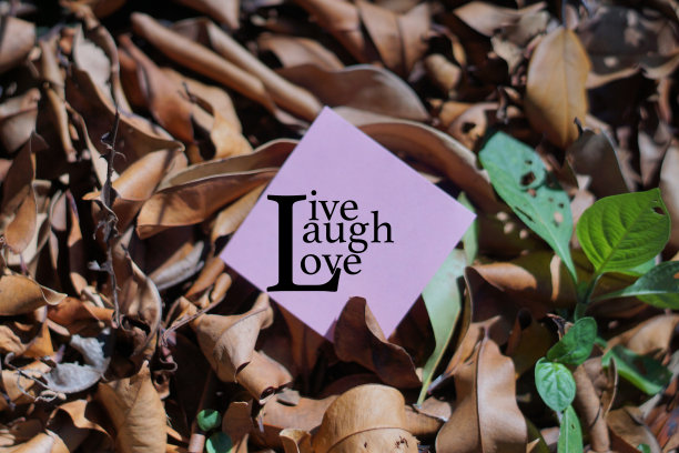 文字生活，笑，爱在粉红色的音符与自然的纹理背景图片下载