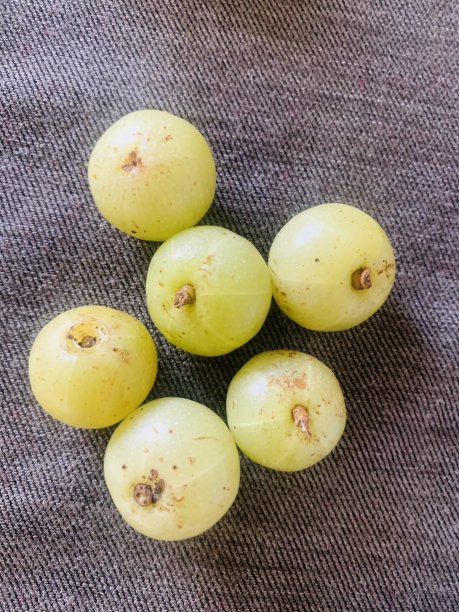 食品的背景图片下载