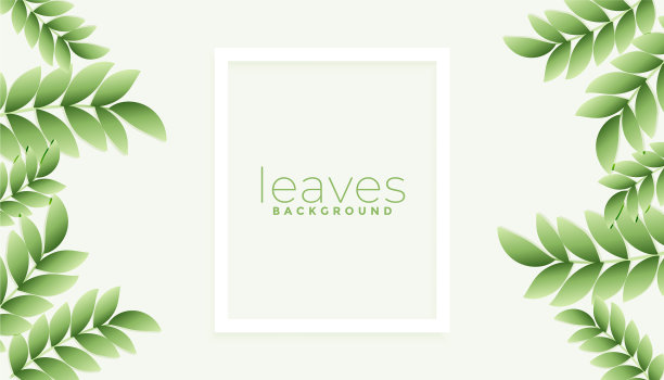 自然绿叶背景与文本空间图片下载