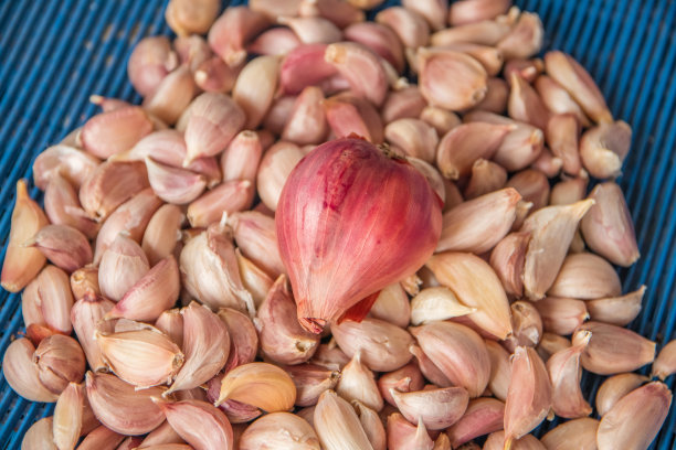 来自亚洲泰国的美味大蒜图片下载
