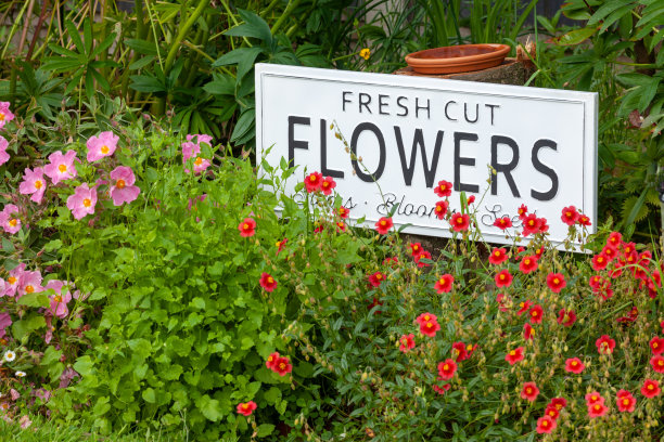 花园鲜花与新鲜切花标志0735图片下载
