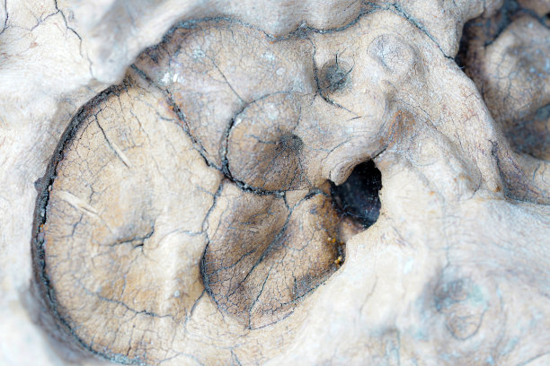 背景结构也可以作为海报壁纸在高分辨率工作室拍摄图片下载