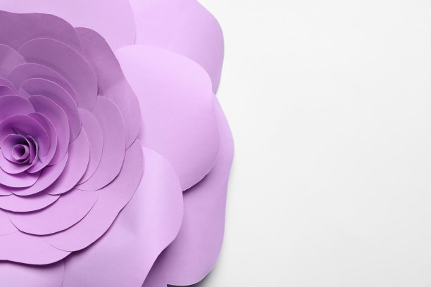 美丽的紫罗兰花纸在白色的背景，俯视图图片下载
