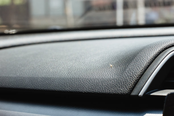 一只蚊子死在车里，因为在车里呆了一天，温度太高。图片下载