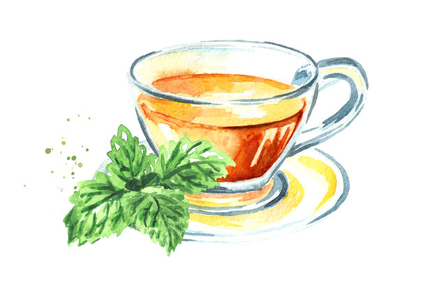 一杯草本茶与一束新鲜的梅莉莎或柠檬香叶，手绘水彩插图孤立在白色的背景图片下载