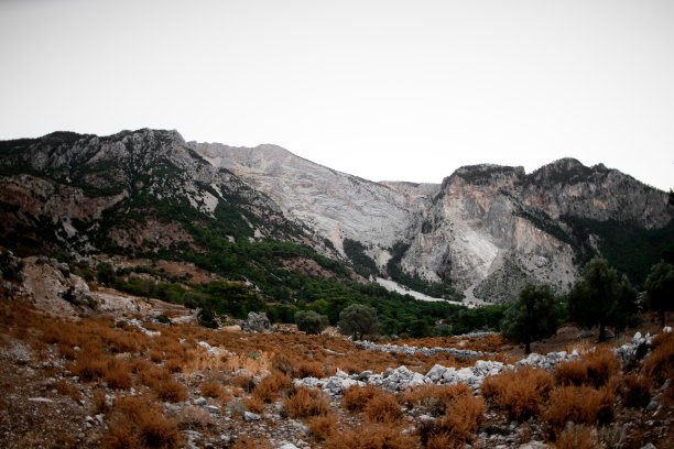 土耳其山上长满了灌木和针叶树图片下载