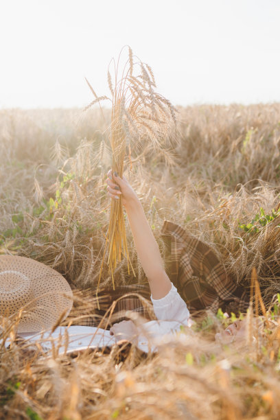 一个长卷发的女孩在麦田里摆姿势图片下载