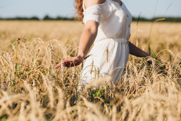 一个长卷发的女孩在麦田里摆姿势图片下载