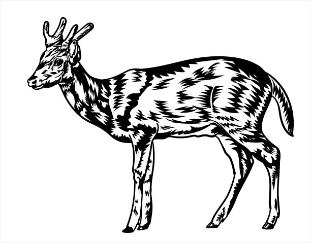 鹿，黑色的剪影画。图片下载