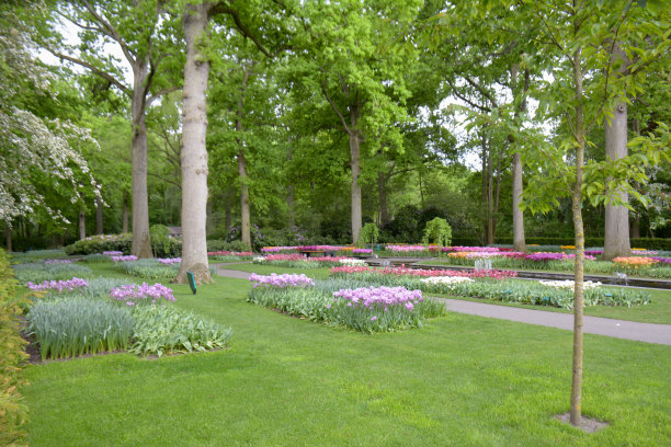 美丽的鲜花花园图片下载