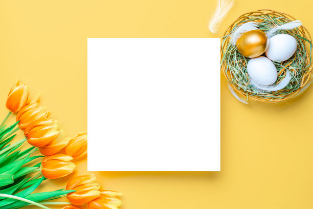 复活节装饰。金色，白色的蛋篮子与春天的郁金香，羽毛在柔和的黄色背景在快乐复活节装饰。箔极简的鸡蛋设计与复制空间。图片下载