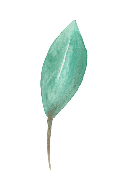 水彩叶图片下载