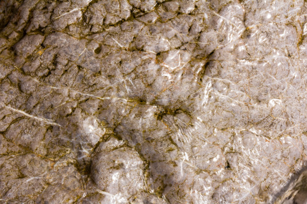 由自然创造的纹理。潮湿的石头图片下载