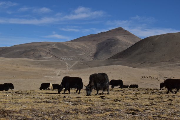 山,风景图片下载