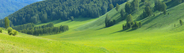 绿色的草地和山坡，夏天图片下载