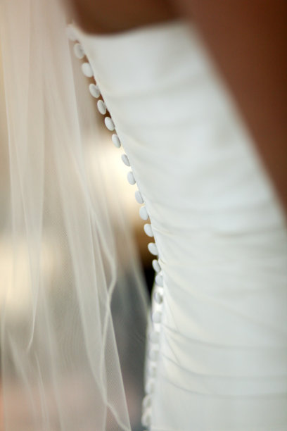 婚纱背面与钮扣和面纱细节图片下载