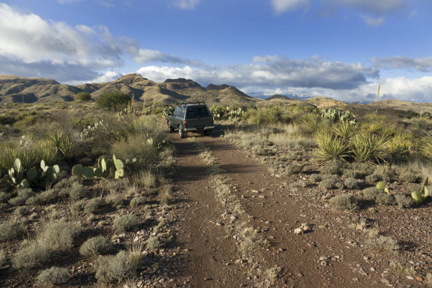 卡车沿着索诺兰沙漠仙人掌加利洛山南亚利桑那州的土路行驶图片下载