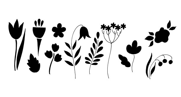 野花。矢量插图。黑色silhouete。图片下载