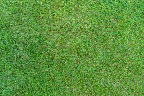 草图案纹理为背景。图片下载