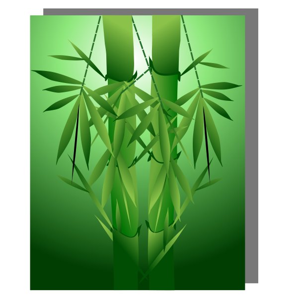 竹子图片下载