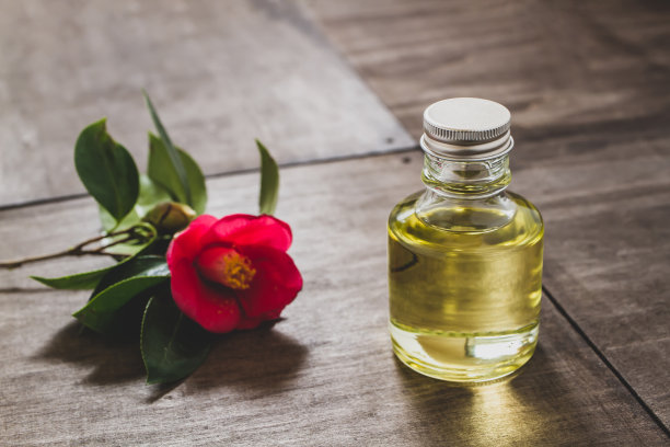 茶花籽油图片下载