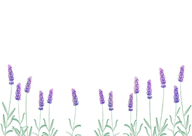 薰衣草水彩背景框图片下载