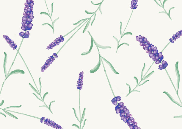 薰衣草水彩背景图片下载