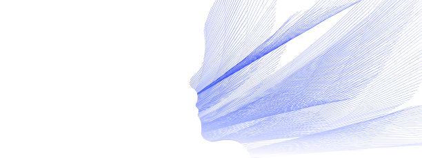 抽象的女性轮廓和白色背景图片下载