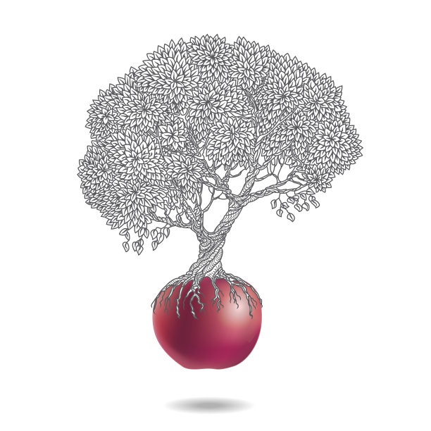 向量插图的老苹果树生长出一个红色的苹果孤立在一个白色的背景图片下载