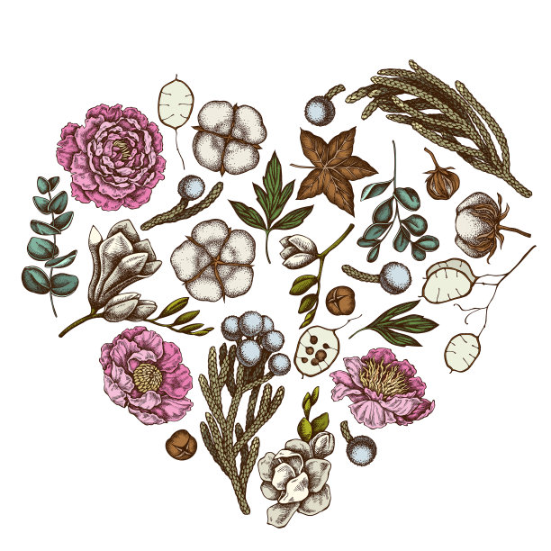 心花图案与彩色榕树桉树图片下载