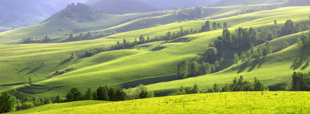 碧绿的春山、草地和森林尽收眼底图片下载