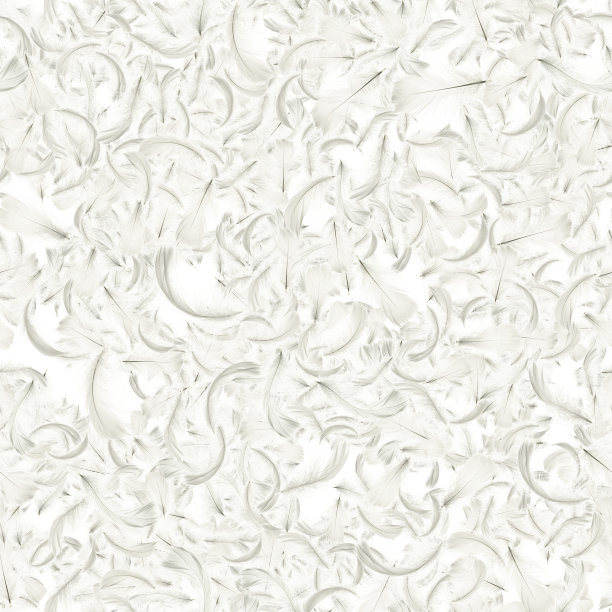 羽毛旗帜。柔和的天使羽毛无缝图案纹理落在白色背景上。迷人的复杂的空气艺术形象孤立在白色。图片下载