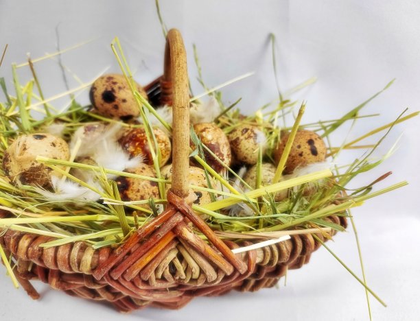 鹌鹑蛋图片下载