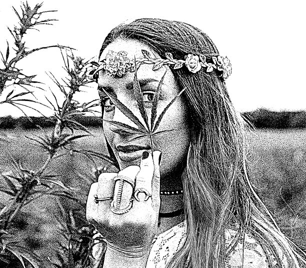 一名波西米亚妇女检查大麻农场的照片图片下载