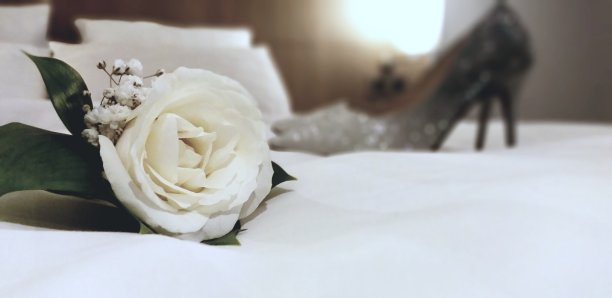 婚纱胸衣图片下载