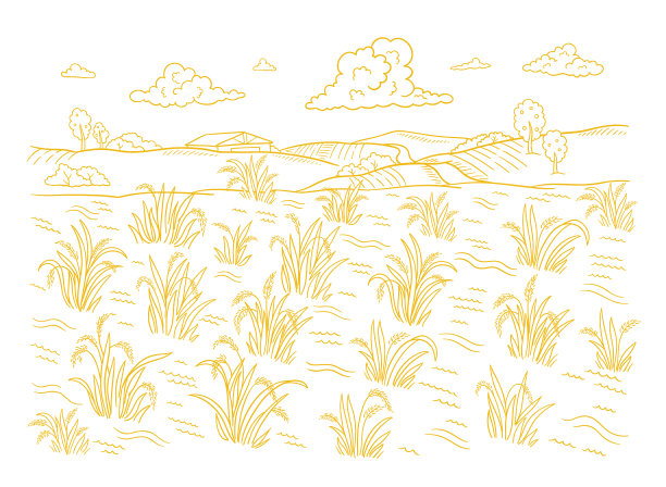 稻田生长农业收获谷物图片下载