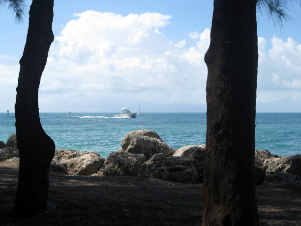 快艇在蓝天白云的地平线上。周围是棕榈树和岩石。图片下载