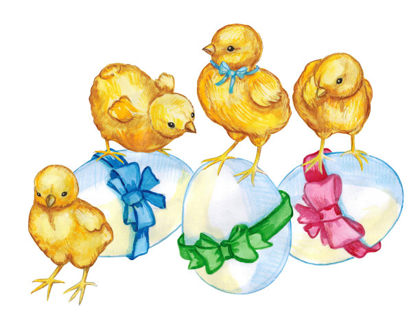 给朋友或家人的明信片。复活节快乐。用水彩在白色的背景上画一组小鸡。独立插图贴纸，印刷。农产品和动物。手工和古董图片下载