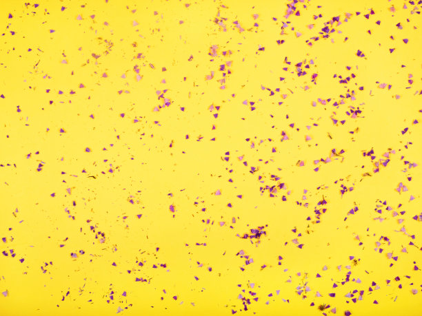 时髦的黄色背景与紫色蓝色干燥的花瓣的永恒的花和复制空间为您的文本，横幅。图片下载