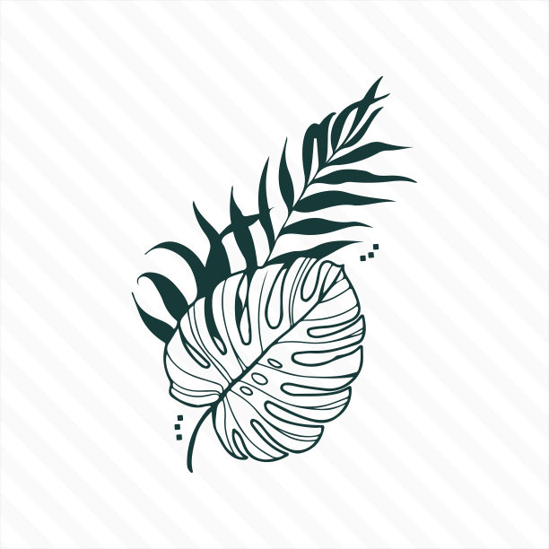 手绘热带植物的枝叶图片下载