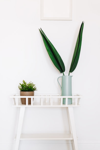 花架，盆花，花瓶，绿叶，白墙背景。图片下载