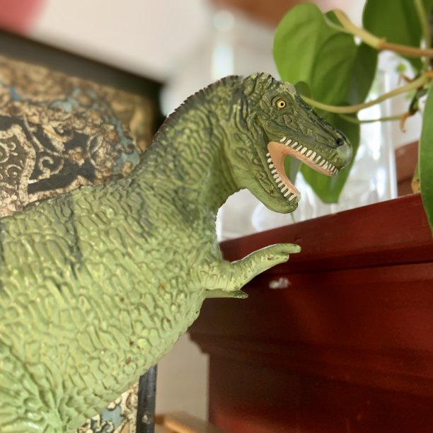 玩具恐龙在室内图片下载