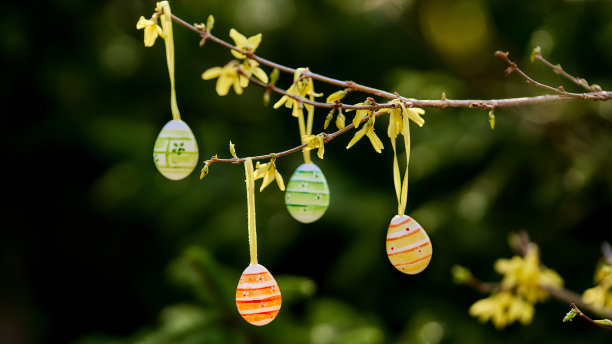 五颜六色的复活节彩蛋挂在树上图片下载