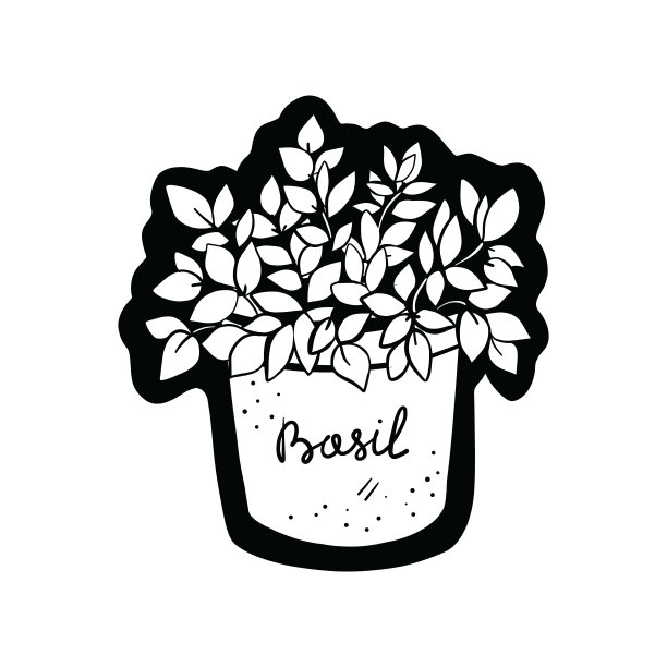 锅内加入香料罗勒图片下载