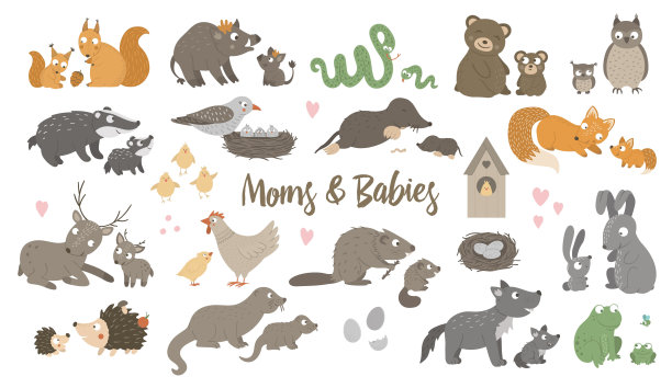 矢量大套手绘动物宝宝与父母。有趣的林地动物场景显示家庭的爱。可爱的森林动物插画母亲节设计图片下载