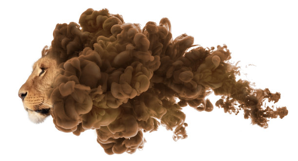 母狮脸上有一缕浓烟，孤立在白色的图片下载