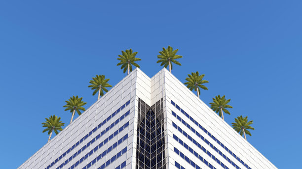 屋顶上有棕榈树的建筑物的角落底部视图图片下载