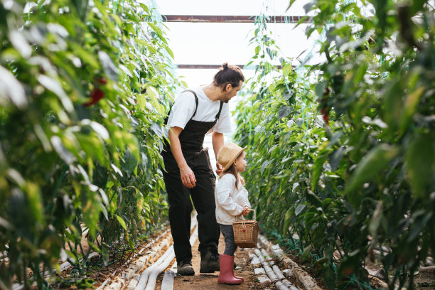 年轻的父亲和女儿在温室里图片下载
