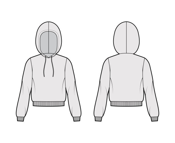 连帽衫的技术时尚插图与长袖，放松身体，针织罗纹袖口，带状下摆，拉绳图片下载